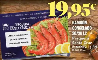 Gadis Gambón congelado 20 30 l2 pesquera santa cruz oferta