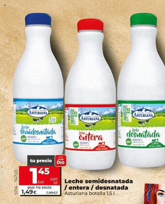 Dia Leche semidesnatada / entera / desnatada oferta
