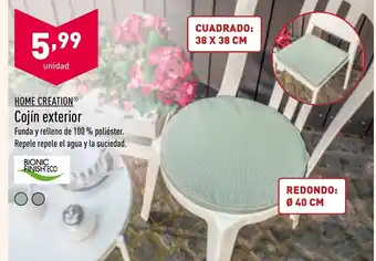 ALDI Home Creation Cojin exterior oferta