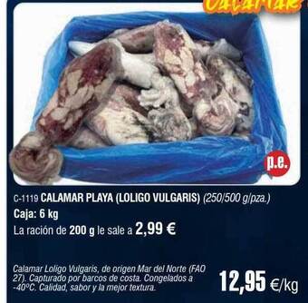 Abordo Calamar playa loligo vulgaris oferta