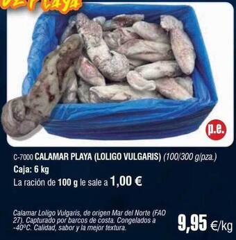Abordo Calamar playa loligo vulgaris oferta