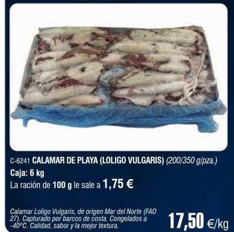 Abordo Calamar de playa loligo vulgaris oferta