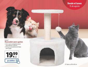 Lidl Zoofari rascador para gatos oferta