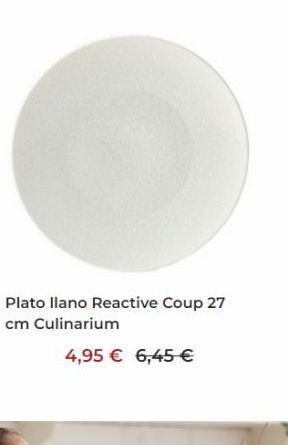 Culinarium Plato llano oferta