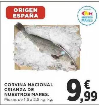Supercor Corvina nacional crianza de nuestros mares oferta