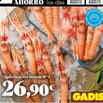 Gadis Cigala oferta