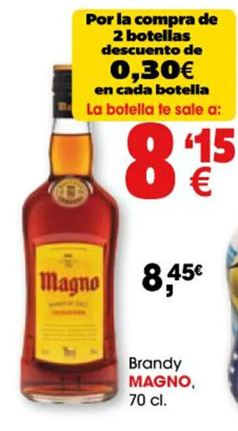 TOP Cash & Carry Magno Brandy oferta