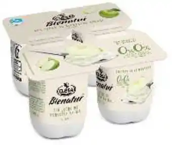 FROIZ Yogur clesa bienatur desnatado con manzana 4x115 g oferta