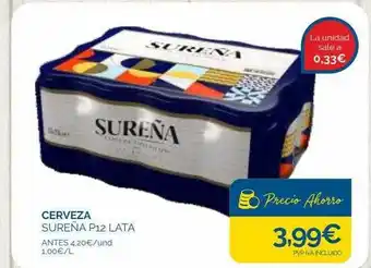 Cash Ecofamilia Cerveza sureña p12 lata oferta