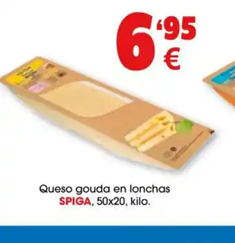 TOP Cash & Carry Spiga Queso Goyda En Lonchas oferta