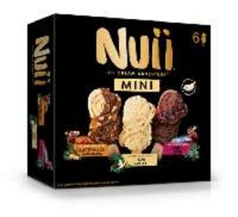 FROIZ Bombón nuii mini surtido 6 u 253 g oferta