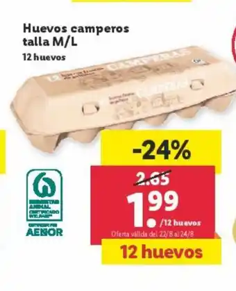 Lidl Huevos camperos Talla M/L oferta