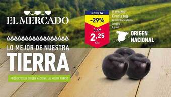 ALDI Ciruela roja oferta