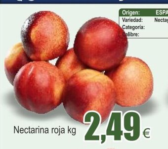 FROIZ Nectarina Roja oferta