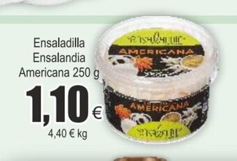 FROIZ Ensaladilla Ensalandia Americana oferta