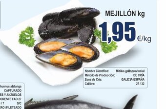 FROIZ Mejillón kg oferta