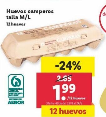 Lidl Huevos oferta