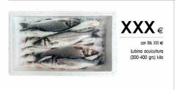 Cash Ifa Lubina acuicultura oferta