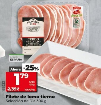 Dia FIlete de lomo tierno oferta