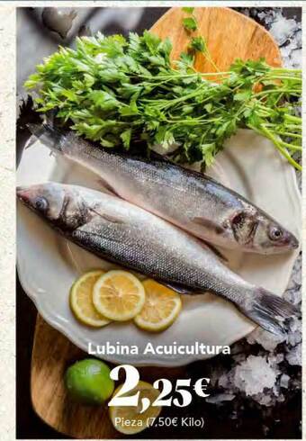 Gadis Lubina Acuicultura oferta