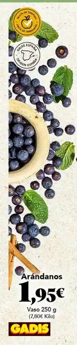 Gadis Arándanos Vaso 250g oferta