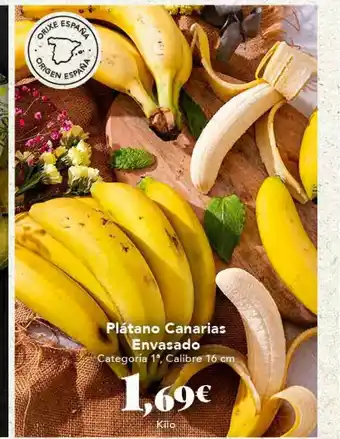 Gadis Plátano Canarias Envasado 16cm oferta