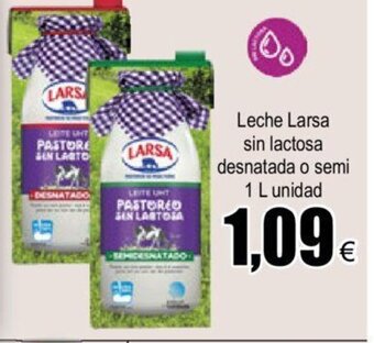 FROIZ Leche Larsa Sin Lactosa Desnatada o Semi 1L unidad oferta