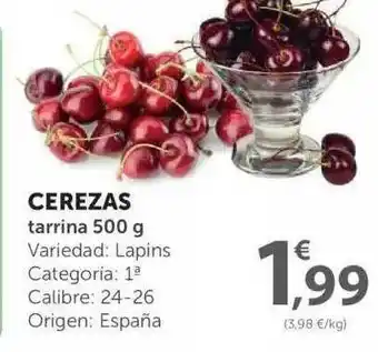 SPAR Cerezas Tarrina 500g oferta