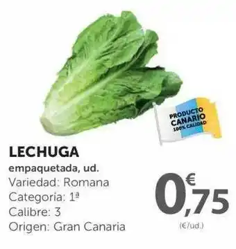 SPAR Lechuga Empaquetada oferta