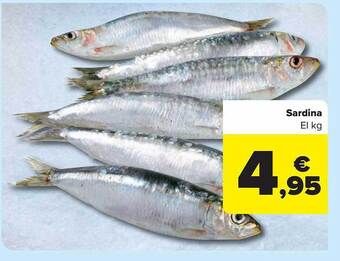 Carrefour Sardina el kg oferta