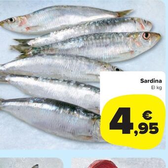 Carrefour Market Sardina oferta