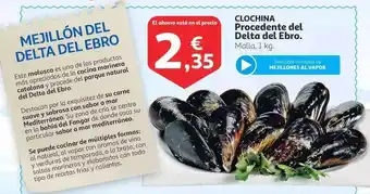 Alcampo CLOCHINA Procedente del Delta del Ebro 1kg oferta