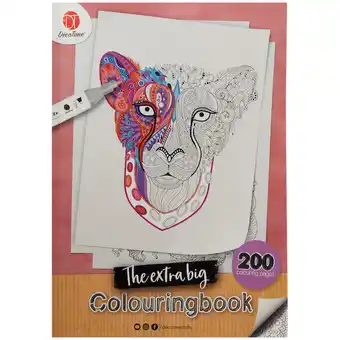 Action Libro para colorear para adultos décotime oferta