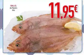 Masymas GALLO, de Ración Kilo oferta