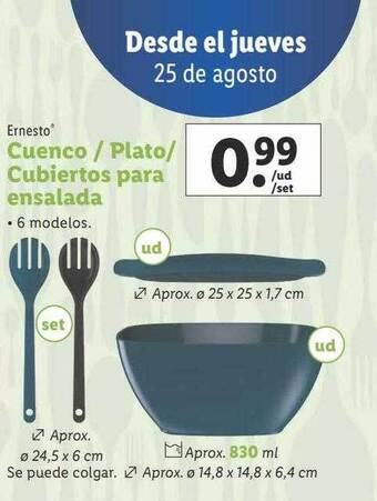 Lidl Ernesto cuenco-plato-cubiertos para ensalada oferta