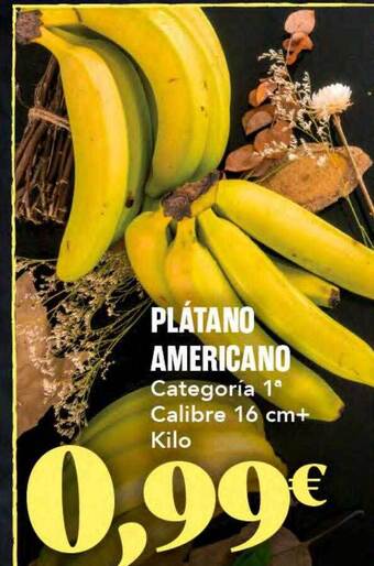 Gadis Plátano americano oferta