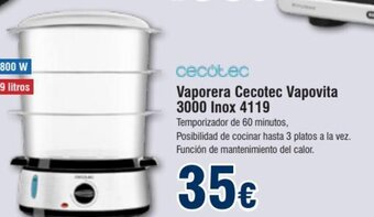 FROIZ Vaporera Cecotec Vapovita 3000 Inox 4119 oferta