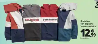 Carrefour Sudadera con capucha varios modelos oferta