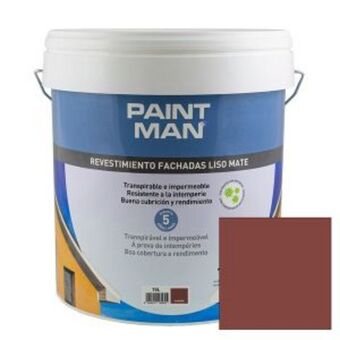 Brico Depôt Pintura fachadas paintman oferta