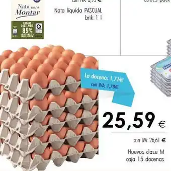 Cash Ifa Huevos clase oferta