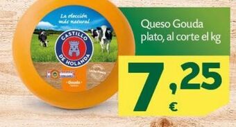 HiperDino Queso gouda castillo de holanda oferta
