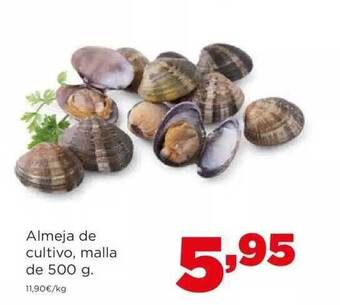 Alimerka Almeja de cultivo malla oferta