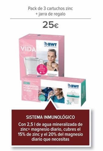 Carrefour Pack de 3 cartuchos zinc + jarra de regalo oferta