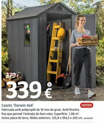 Bauhaus Caseta 'darwin 4x6' keter oferta
