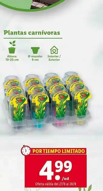 Lidl Plantas carnívoras oferta
