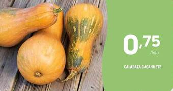Coviran Calabaza cacahuete oferta