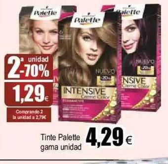 FROIZ 2a unidad -70% tinte palette gama oferta