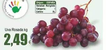 FROIZ Uva rosada oferta