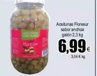 FROIZ Aceitunas floresur sabor anchoa galón oferta