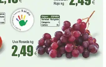 FROIZ Uva Rosada oferta